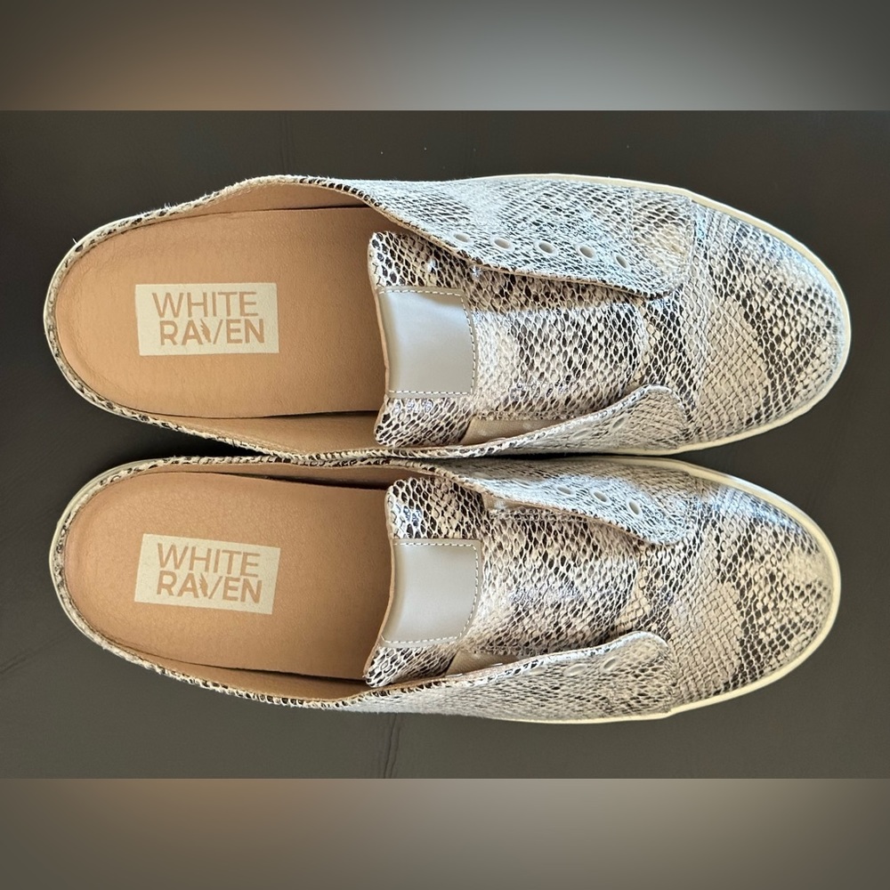 White Raven Slides